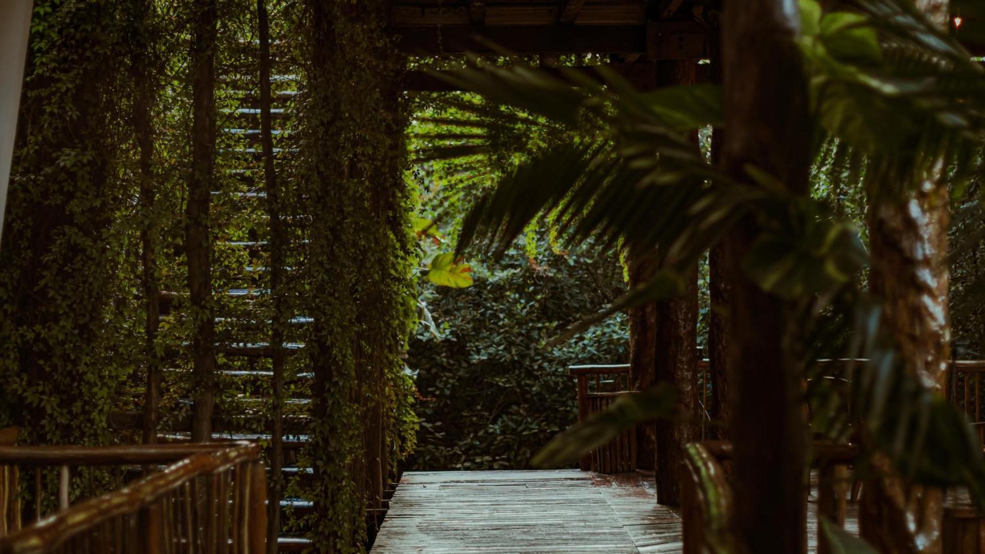 Casa Teka Hotel Tulum Exterior photo